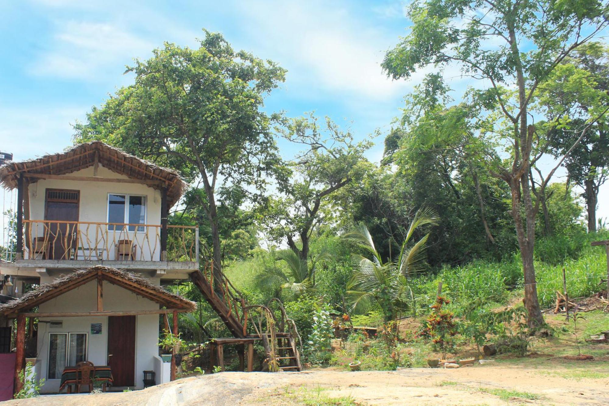 Sigiri Gayani Home Stay 시기리야 외부 사진